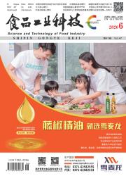 新城建科技