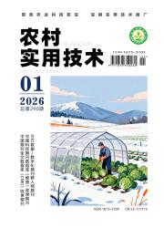 农村实用技术