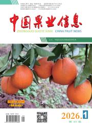 中国果业信息