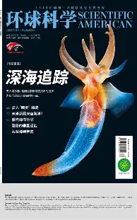 百科知识