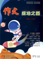作文成功之路