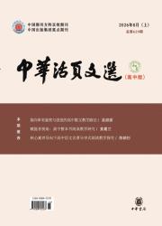 中华活页文选（高中版）