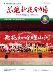 花炮科技与市场