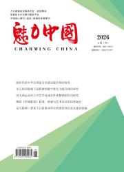 魅力中国