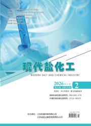 现代盐化工