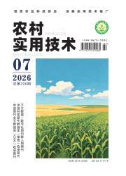 农村实用技术
