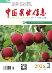 中国果业信息