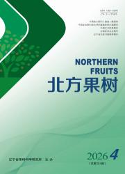 北方果树