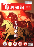 百科知识