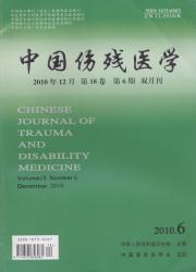 中国伤残医学
