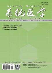 期刊封面示例