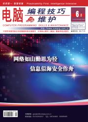 电脑编程技巧与维护