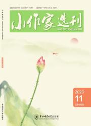 小作家选刊