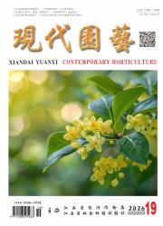 现代园艺