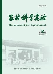 农村科学实验