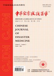 中华灾害救援医学