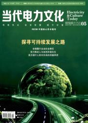 当代电力文化