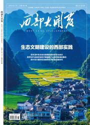 西部大开发