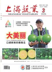 上海蔬菜