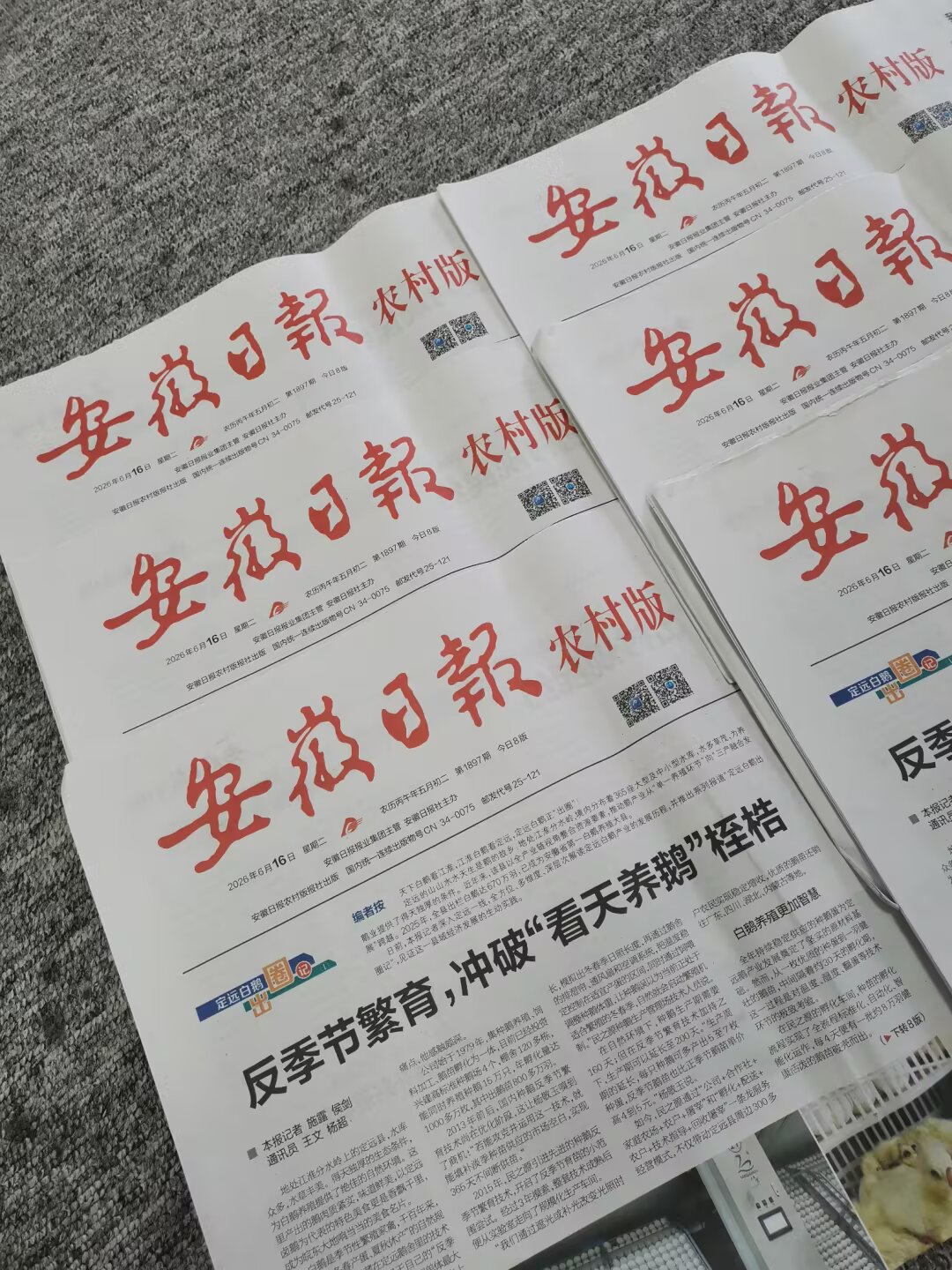 安庆日报版面展示